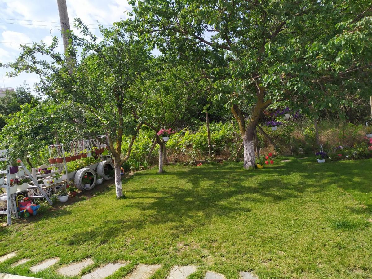 Villa Savovi Βάρνα Εξωτερικό φωτογραφία